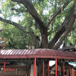 成果分享｜健行國小