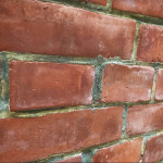 成果分享｜樂業國小