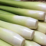 成果分享｜南光國小