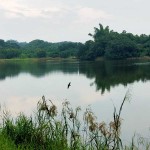 成果分享｜保東國小