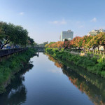 成果分享｜民和國小