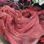 成果分享｜塭子國小