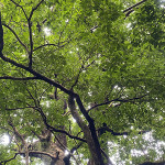 成果分享｜尚武國小